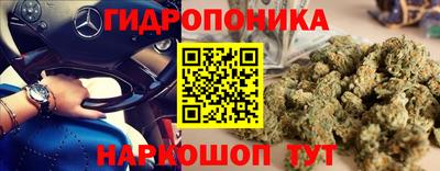 каннабис Баксан