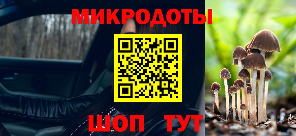 Галлюциногенные грибы мухоморы Красноармейск